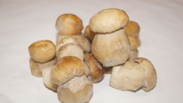 LAS-BOR грибы шампиньоны замороженные свежие овощи фрукты лисички березовики боровики переработка экспорт в Польше 11